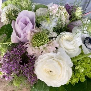 Meet your Posher, Posh